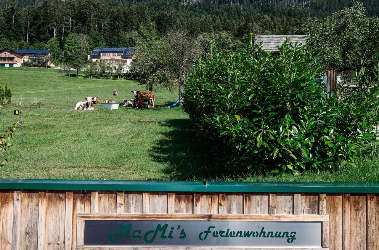 Ferienwohnung Grundlsee, Willkommen In Mami'S Ferienwohnung ภายนอก รูปภาพ
